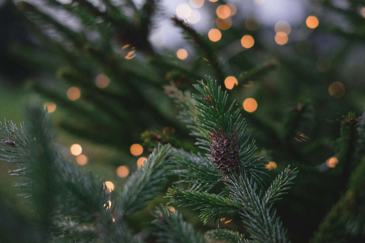Une idée cadeau de Noël pour les 6-12 ans qui nourrit la confiance en soi
