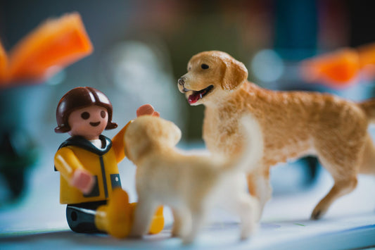 7 Activités pour Cultiver la Créativité et la Confiance en Soi