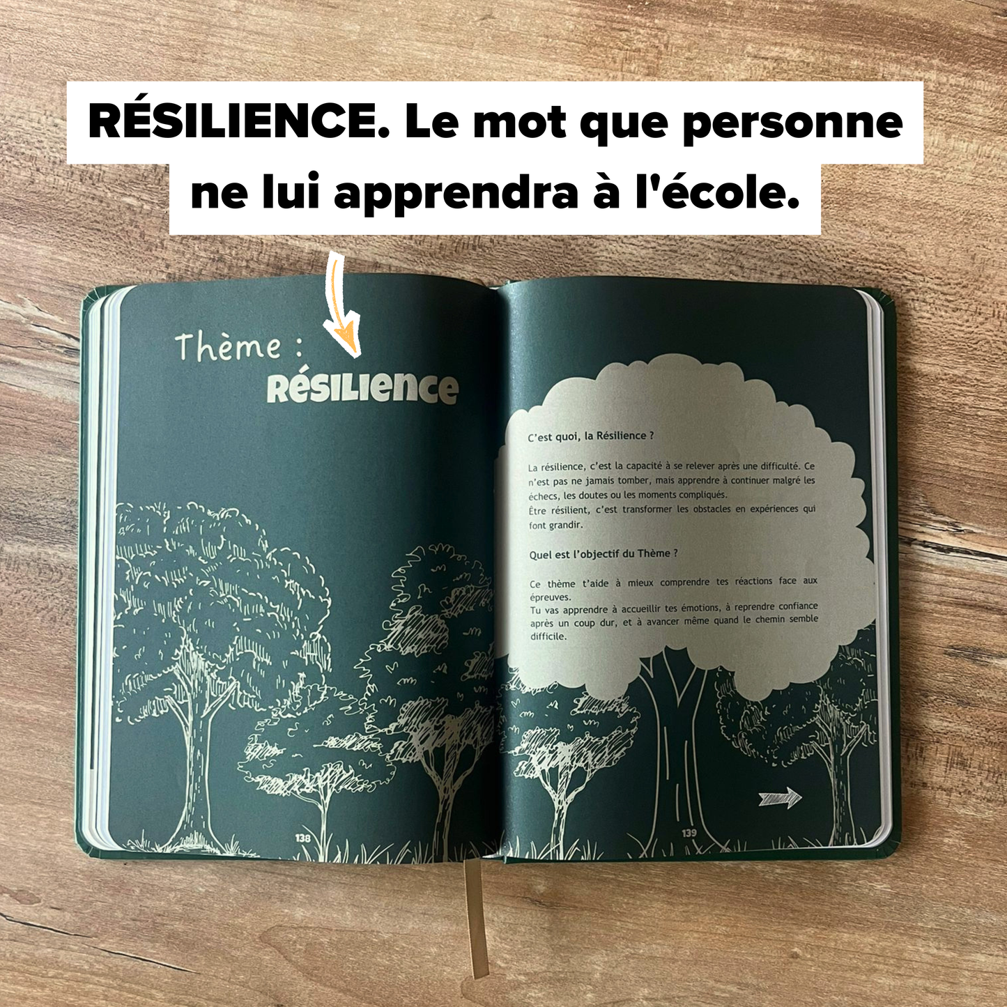 Mon carnet de rêves — Édition Adolescents